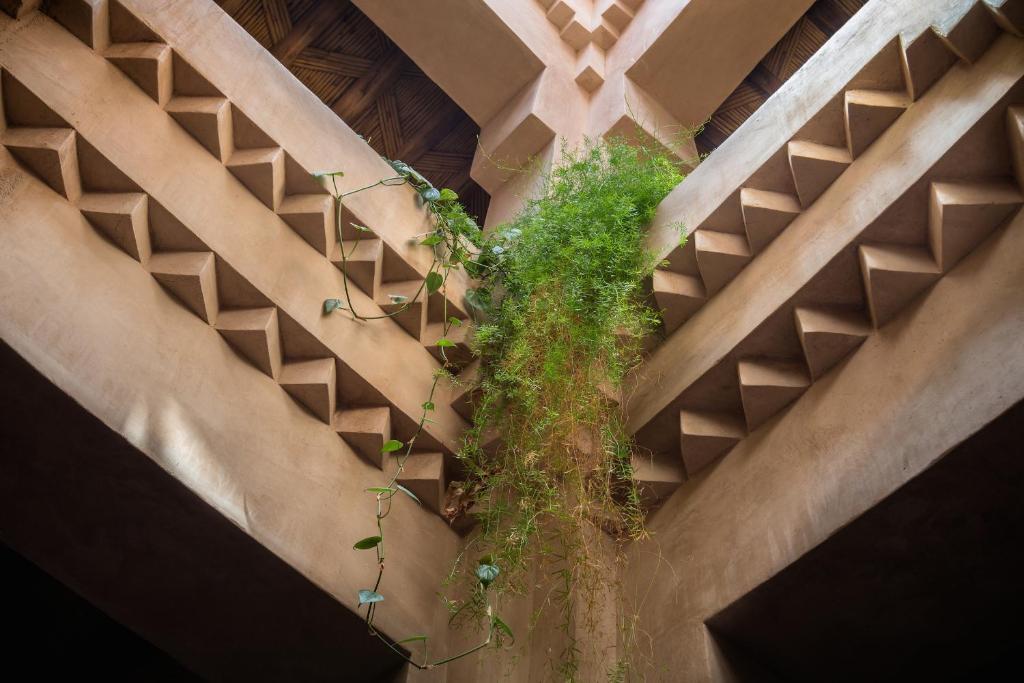 Dar Bladi Bed & Breakfast Tajda Luaran gambar